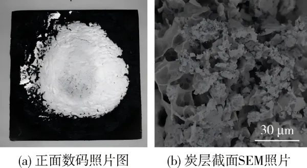 Рисунок 3  Морфология остаточного углерода